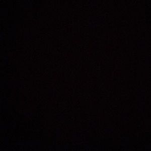 Meet your Posher, Delaney